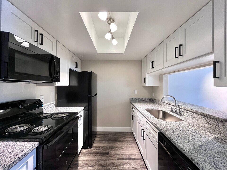 Inertio Apartments in Tampa, FL - Building Photo