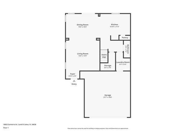 18832 Sunterra Dr in Land O Lakes, FL - Building Photo - Building Photo