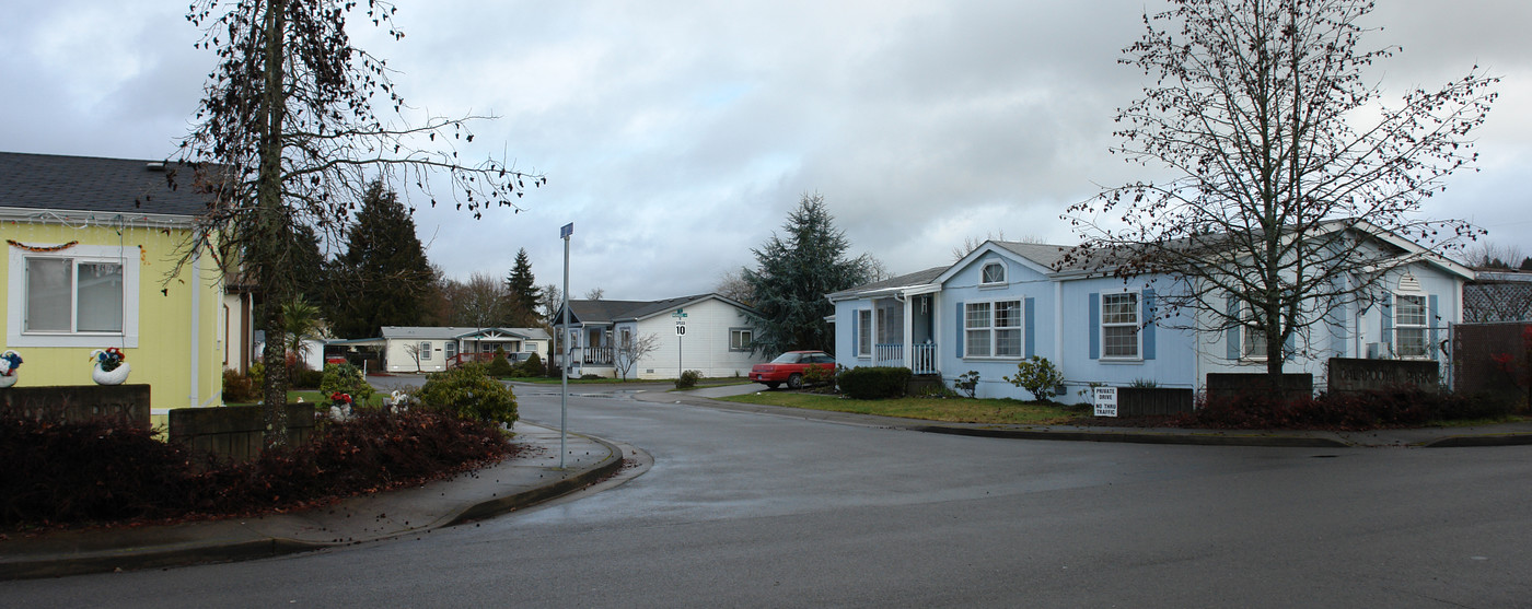 1338 E Quincy St in Cottage Grove, OR - Building Photo