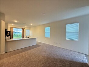 10322 Star Flower Ln in Riverview, FL - Building Photo - Building Photo