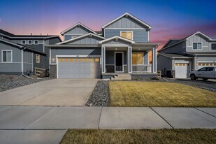 910 Hummocky Wy in Windsor, CO - Building Photo