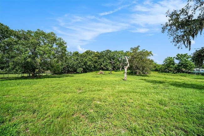11911 Pine Forest Dr in New Port Richey, FL - Building Photo - Building Photo