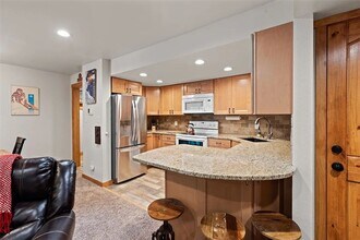 433 Wild Irishman Rd in Dillon, CO - Building Photo - Building Photo