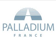 Property Management Company Logo Palladium Management Company