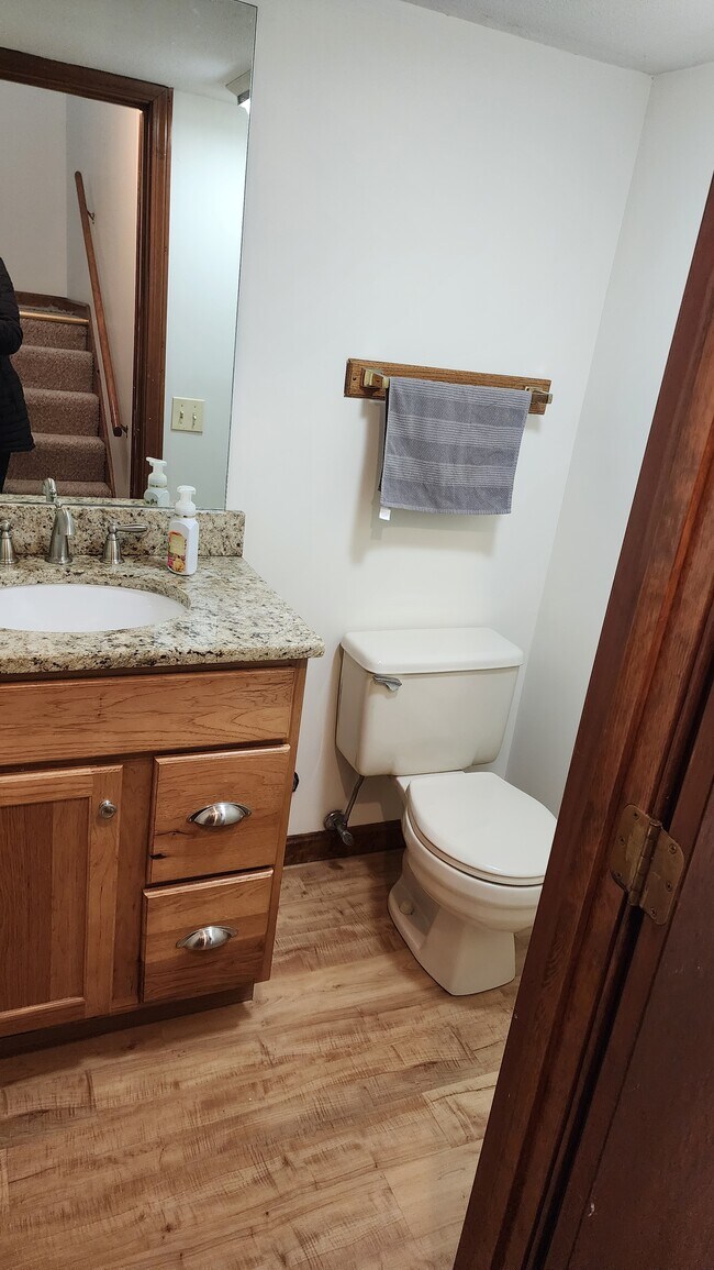 161 Riviera Dr in Agawam, MA - Building Photo - Building Photo