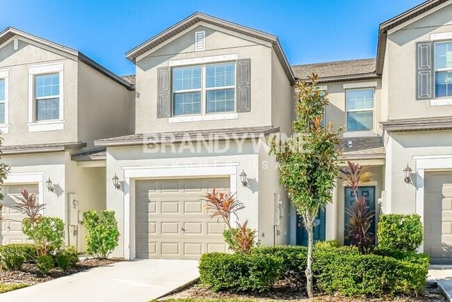 14206 Riva Ridge Pl in Ruskin, FL - Building Photo - Building Photo