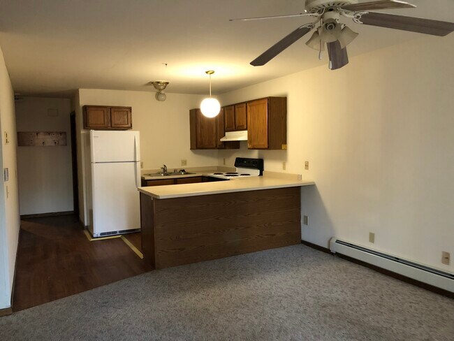 421 W Doty St, Unit 1 in Madison, WI - Building Photo - Building Photo