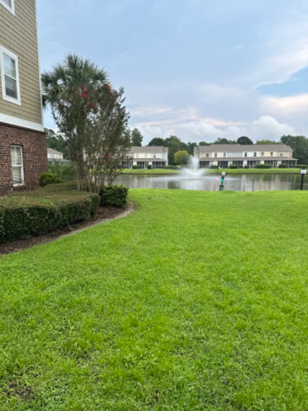 336 Kiskadee Loop in Conway, SC - Foto de edificio - Building Photo