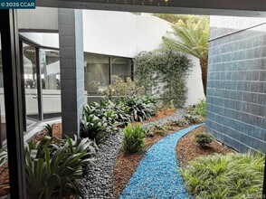 555 Pierce St in Albany, CA - Building Photo - Building Photo