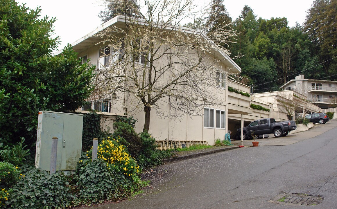 216 Miller Ave in Mill Valley, CA - Building Photo