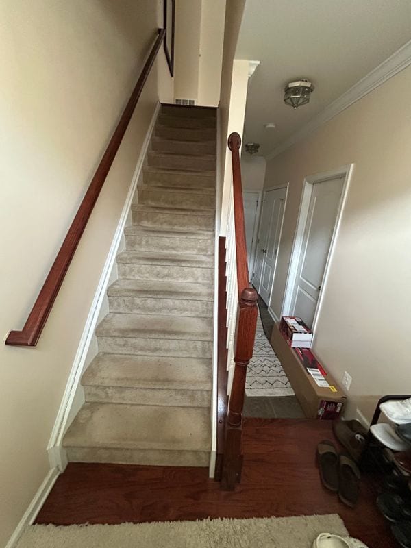 42906 Pamplin Terrace in Chantilly, VA - Building Photo - Building Photo