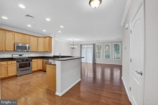 44063 Vaira Terrace in Chantilly, VA - Building Photo