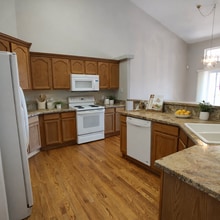 1745 Moorwood Point in Monument, CO - Building Photo - Building Photo