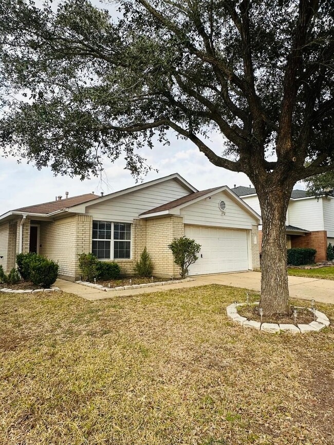 19238 Anthurium Ct in Katy, TX - Building Photo - Building Photo