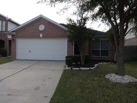 4719 Brazos Point Ln in Fresno, TX - Building Photo