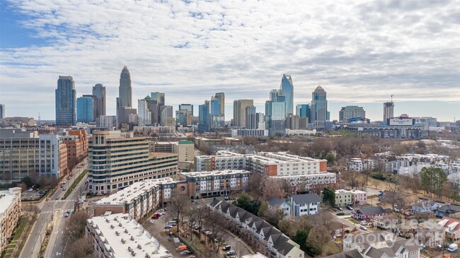 1069 S Sycamore Green Pl in Charlotte, NC - Building Photo - Building Photo