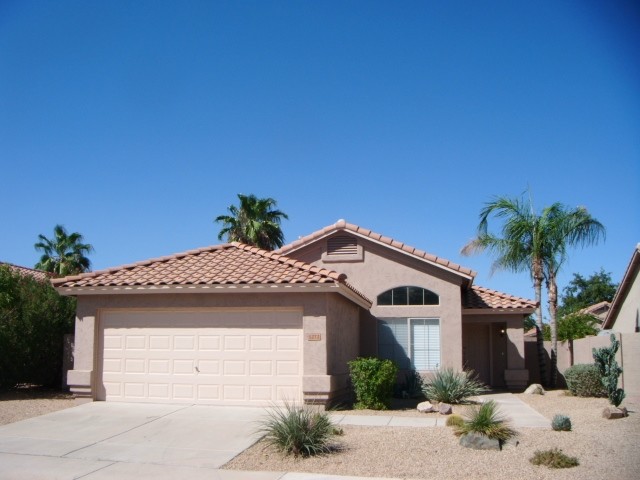 1272 W Lark Dr in Chandler, AZ - Building Photo