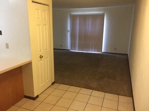 4130 N Rochelle Ln-Unit -4130 in Peoria, IL - Building Photo - Building Photo