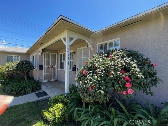 2542 N Brighton St in Burbank, CA - Building Photo