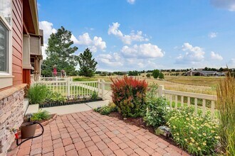 3719 Pecos Trail in Castle Rock, CO - Building Photo - Building Photo