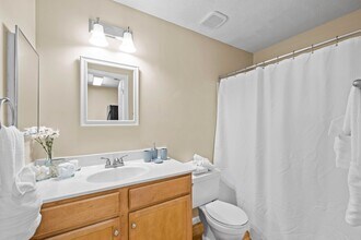 424 Mather Green Ave, Unit H in Charlotte, NC - Building Photo - Building Photo