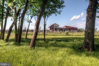 20532 Milbridge Ter in Ashburn, VA - Building Photo - Building Photo