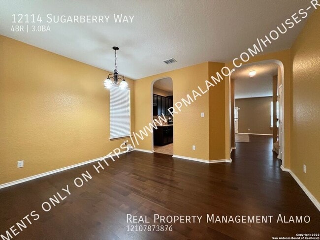12114 Sugarberry Way in San Antonio, TX - Building Photo - Building Photo