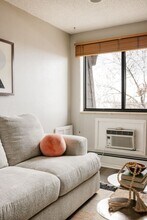 1008 Corona St in Denver, CO - Building Photo - Building Photo