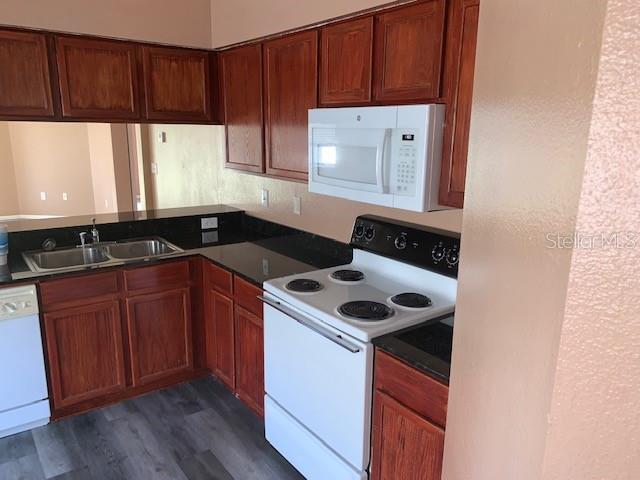 11752 Lynmoor Dr in Riverview, FL - Building Photo - Building Photo