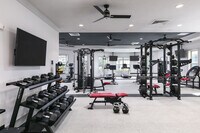 Integra 289 Exchange photo'