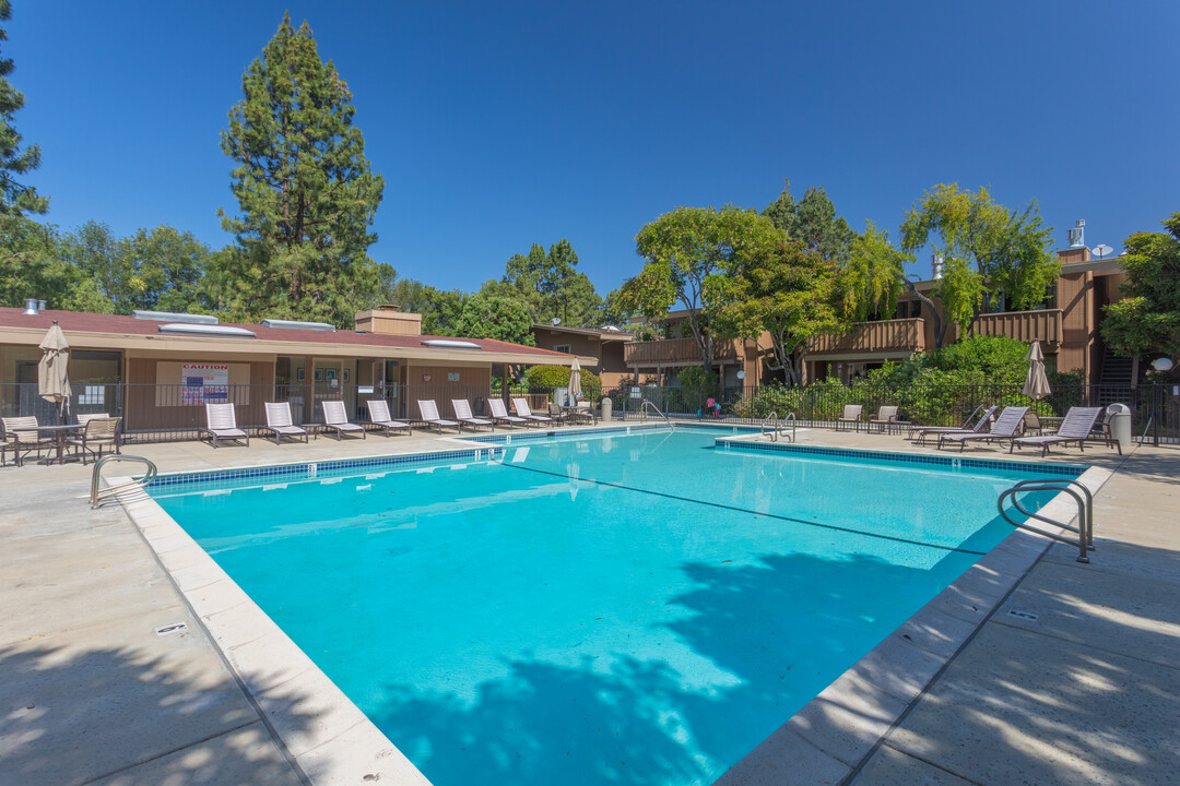 Lake Terrace Apartments in Santa Clara, CA - Foto de edificio