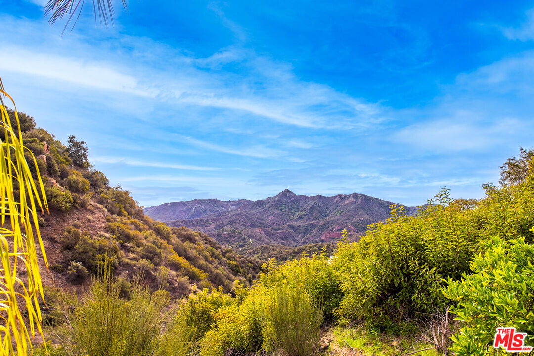 2529 Topanga Skyline Dr in Topanga, CA - Building Photo