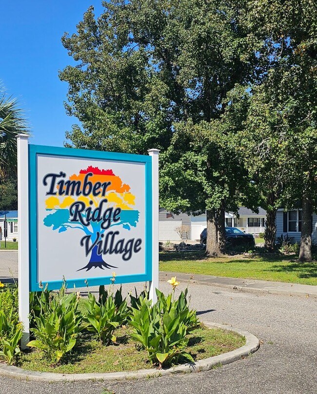 1107 Blue Ridge Trail in North Myrtle Beach, SC - Building Photo - Building Photo