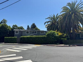 226 Sycamore Ave in Mill Valley, CA - Building Photo - Building Photo