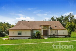6145 Golddust Rd in Spring Hill, FL - Building Photo