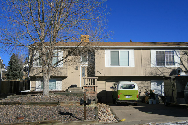 905-907 South St in Castle Rock, CO - Building Photo - Building Photo