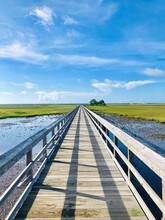 2147 Oyster Reef Ln in Mount Pleasant, SC - Building Photo - Building Photo