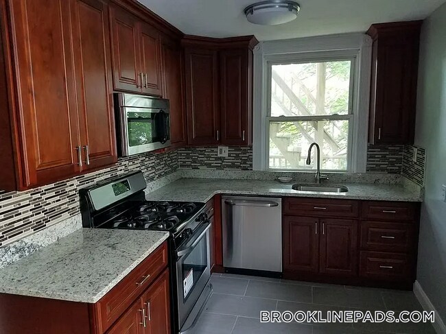 66 University Rd in Brookline, MA - Building Photo - Building Photo