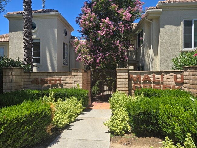 property at 4201 Las Virgenes Rd