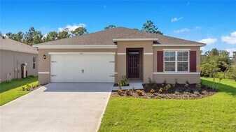1112 Brooklet Dr in Davenport, FL - Building Photo