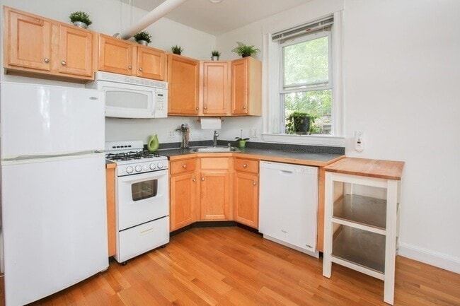 151 Mason Ter, Unit B in Brookline, MA - Foto de edificio - Building Photo