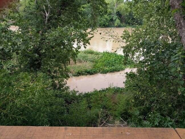 18120 River Timber Dr in Del Valle, TX - Building Photo - Building Photo