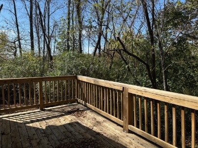 17 Lewis Higgins Dr in Weaverville, NC - Building Photo - Building Photo