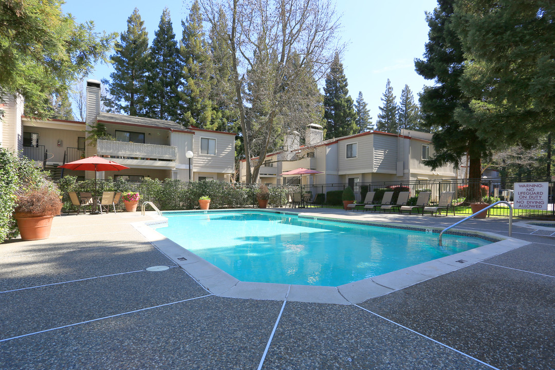 Avondale Apartments in Sacramento, CA - Building Photo