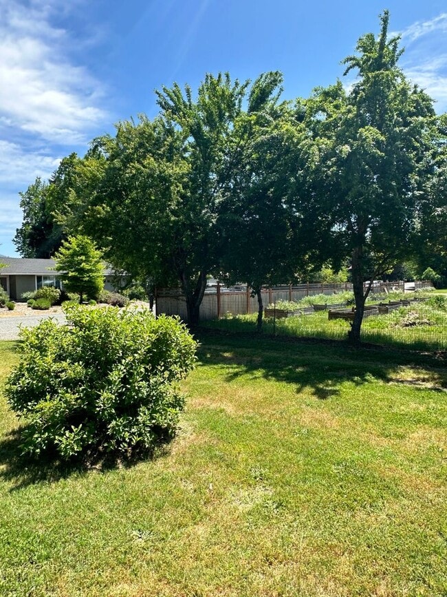 240 Glen Dr in Grants Pass, OR - Building Photo - Building Photo