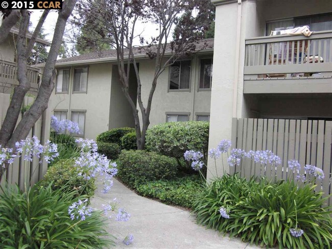 1251 Homestead Ave in Walnut Creek, CA - Building Photo - Building Photo