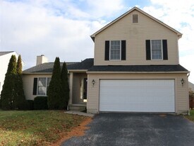 1163 Tarragon Dr in Marysville, OH - Building Photo