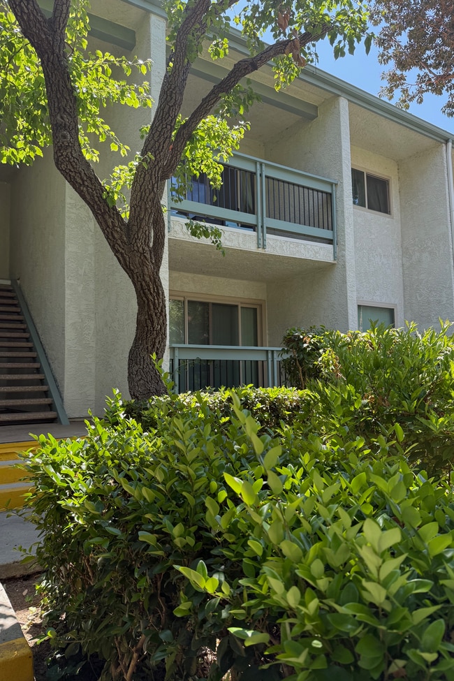 property at 23671 Park Capri