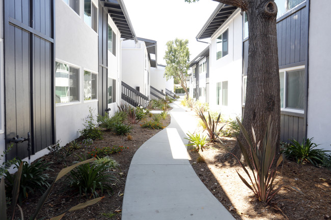 Ivy at Carrillo in Santa Barbara, CA - Building Photo - Building Photo