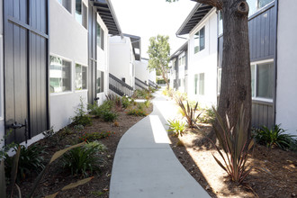 Ivy at Carrillo in Santa Barbara, CA - Building Photo - Building Photo